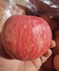 Yiyuan Red Apple